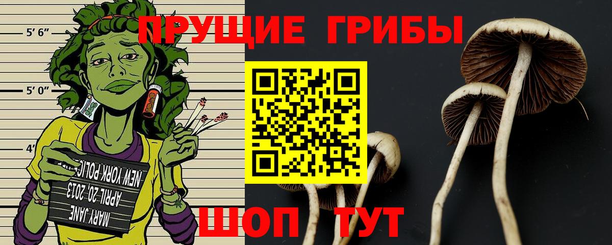 Нефтекамск  Псилоцибиновые грибы GOLDEN TEACHER  Вход с VPN  Галлюциногенные грибы Cubensis 